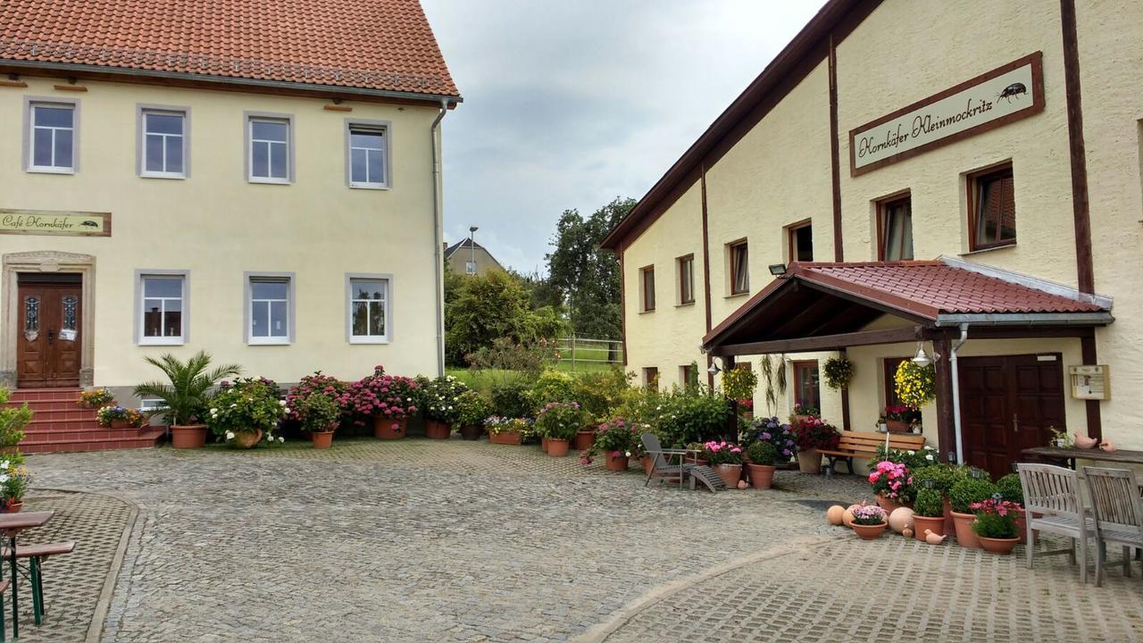 Kornkaefer Kleinmockritz Hotel Dobeln Bagian luar foto
